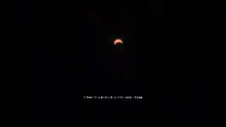 Watching the SOLAR ECLIPSE #2024 #eclipse #fypシ #makethisgoviral