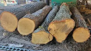 Sawing 4/4 lumber and 4x6s #83