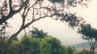 albaida Syria.wmv سوريا ، البيضا