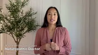 Supporting your immune system with astragalus root