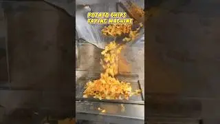 Potato Chips Frying Machine|Potato Chips Frying Machine Price it.#deepfryer #potatochipsmachine