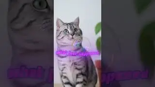 System error  #animals #funny #ai #unexpected