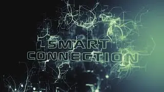 Introduction:  Freedom, Safety, Connection