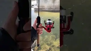 Вам это НУЖНО!