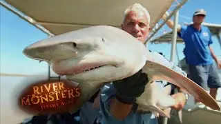 INCREDIBLY Rare Glyphis Shark Catch! | SHARK | River Monsters