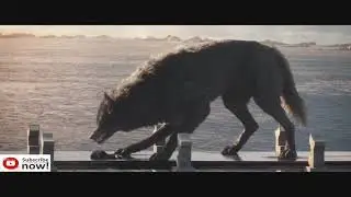 Hulk vs Wolf   Fight Scene   Thor Ragnarok 2017 Movie TOP CLIPS