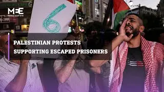 Protests across occupied West Bank in support of Palestinians who escaped from an Israeli prison.