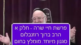 הרב רוזנבלום חיי שרה-שיעור ברמה גבוהה על חיי שרה 1 הרב רוזנבלום rabbi rosenblum parashat haye sarah