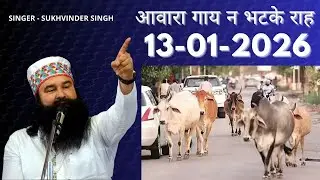 आवारा गाय न भटके राह SUKHVINDER SINGH SaintMSG | Dera Sacha Sauda latest punjabi songs 2026