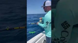 Huge Mingo Snapper? lol You gotta see this MONSTER!