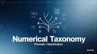 Numerical Taxonomy Explained | Phenetics in Biological Classification | Mootechie