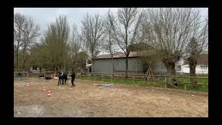 Equifeel virtuel - Club 2 - Manche 2
