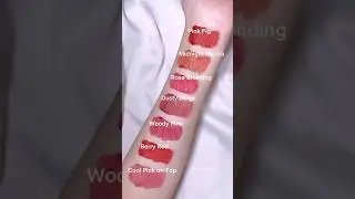 Swatching Etude Fixing Tint shades