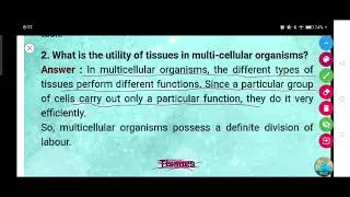 What is the utility of tissues in multi-cellular organisms?