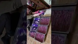 #indiedyer #indieartist #indie #dyer #dyeing #handdyed #painting #spinningwheel #spinningyarn