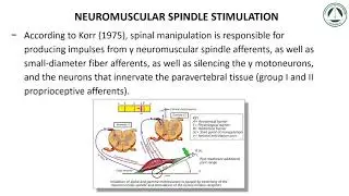 EFECTOS NEUROFISIOLOGICOS DE LA MANIPULACION VERTEBRAL