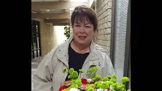 The Jerky Boys - The Flower Lady Saga