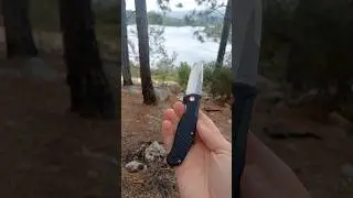 Pickled Steel Heindall! This knife is a tactical Tank! #edc #war #knife #survival