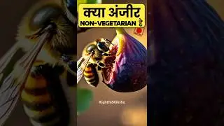 लोग अंजीर को non-vegetarian क्यों बोल रहे हैं? By Right to Shiksha