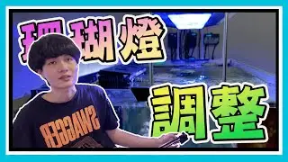 肉眼看很亮就夠嗎？專業 PAR 值實測，揭露珊瑚燈光的真相！【阿宅 X Dane's Aquarium】