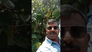bonda hills koraput