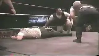 Blue Meanie vs Bull Pain