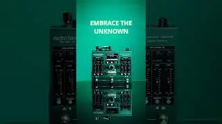 Plate or Hall Reverb?
