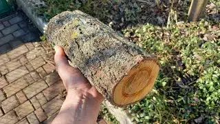 Деревянная Бочка из Абрикоса DIY | От Бревна до бочки | Как сделать бочку из дерева своими руками