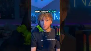 A Dino _____ POOP?! #explore #fyp #trending #noahwithaz