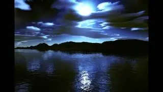 Vital Signs - Ajnabi