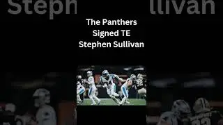 Stephen Sullivan Signed