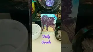 DAILY ORACLE: Panther #short #daily #tarot #Oracle