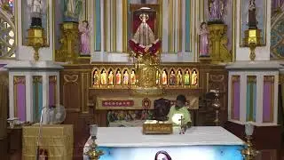 ༺♰༻ 🅛🅘🅥🅔 𝑽𝒂𝒅𝒂𝒗𝒂𝒊 𝑷𝒂𝒓𝒂𝒍𝒐𝒈𝒂 𝑴𝒂𝒕𝒉𝒂 - Festival Mass in Tamil -  2025 - திருப்பலி