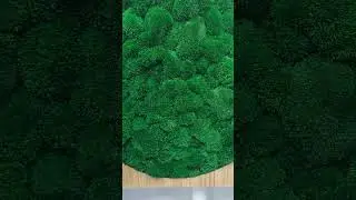 BIOPHILIC DESIGN - MONAMOUR NATURAL DESIGN #biophilicdesign #monamournaturaldesign #art #shorts