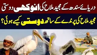 Fisherman Majid Malah&rsquo;s Incredible Friendship with a Bird | Hum News | Pakistan