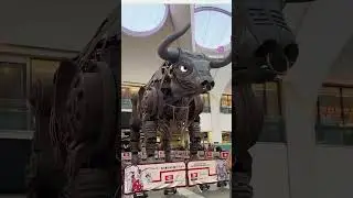 Birmingham🏠 of Ozzy The mechanical Bull 🐂  #Ozzy ewStreet @Brummie #ragingbull #bull #birmingham