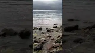 Enjoy the relaxing sounds of acreek flowing over rocks, into a lake.