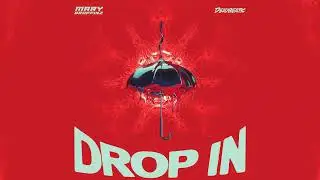Mary Droppinz - Drop In