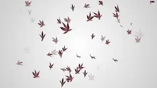 Colorful Amazing Flying Leaf Animation