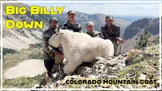 Big Billy Colorado Mountain Goat