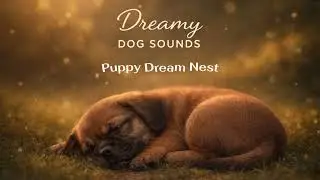 Puppy Dream Nest 🐾 Soft Sleep Music for Puppies | Calm Instrumental Dog Bedtime (432Hz)
