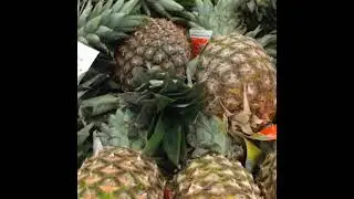 El Frutero  (by Gil Tower)