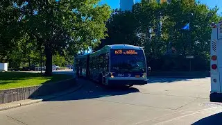 Bx19/M11 Bus Action w/ NIS Bus Action At Riverbank State Park