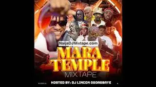 Nigeria Carnival Party DJ Mix Many People party Mixtape Ultimate Vibes Explosion