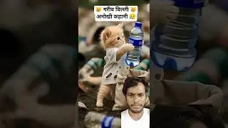 गरीब बिल्ली 😿! poor cat ! intertanment green screen #shorts #cat