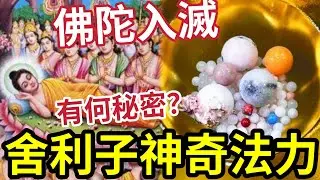 #佛禪 七仙羽販賣佛祖舍利！神奇法力曝光？為何只有「少量國家擁有」舍利子是甚麼？有錢都買唔到？
