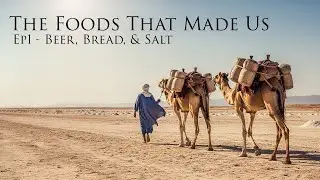 How Bread, Beer, & Salt Built Civilization I The Foods That Made Us - Episode 1
