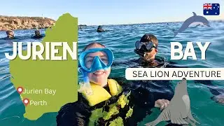 WE SWAM WITH SEA LIONS! | JURIEN BAY VLOG | CLAIRE MATHER