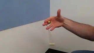 Slinging ebay begleri
