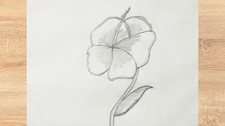 Draw the hibiscus || jasud || #hibiscus #flowers #beutifull #video #art #viralcontent 